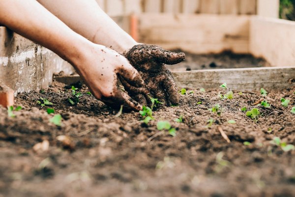 les astuces pour aménager un jardin sans utilisation de produits chimiques