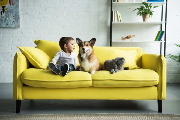 Comment intégrer un canapé jaune dans un décor moderne : conseils et astuces